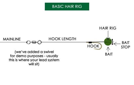 Basic Hair Rig