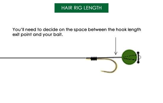 Hair Rig Length