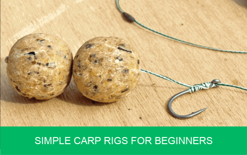 carp rigs for beginners