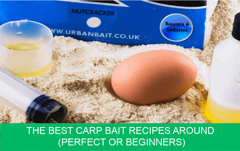 The Best Carp Bait Recipes Around