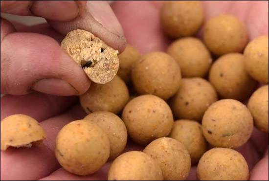 Using Boilies to Catch Carp