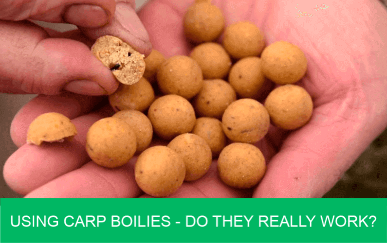 best boilies