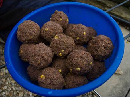 carp dough balls