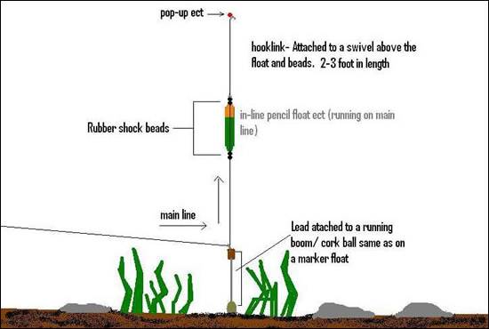 diagrams of carp rigs