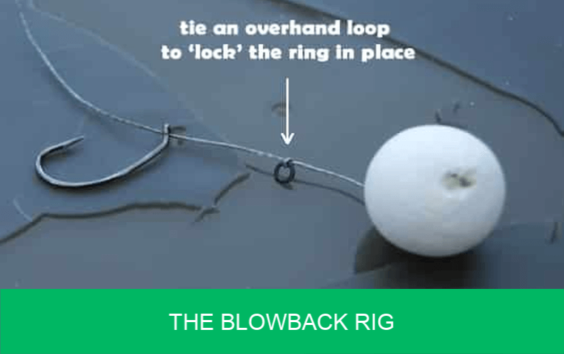 The Blowback Rig Carp Rigs Carp 'n' Bait.co.uk