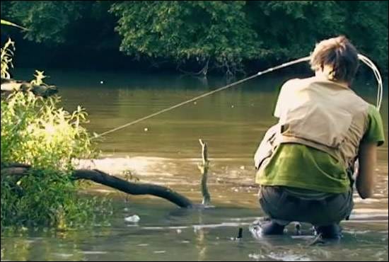 Stalking for Carp