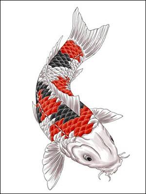 Koi Carp Tattoo