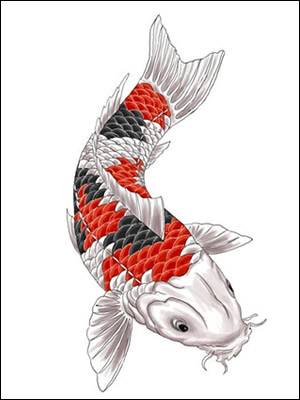 Koi Carp Tattoo