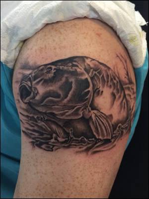 Realistic Mirror Carp Tattoo