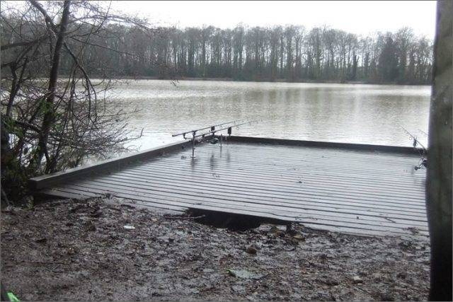 Willesley Carp Fishery