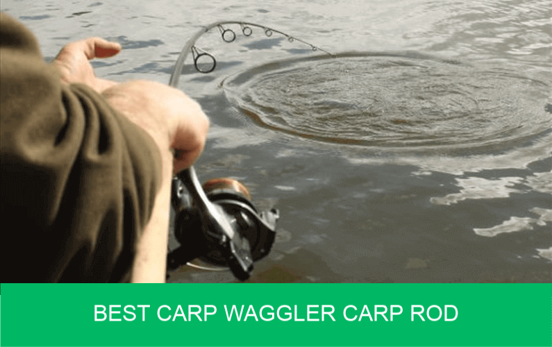 best carp waggler rod