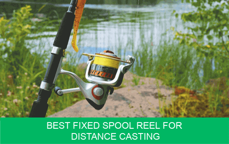 Best Fixed Spool Reel for Distance Casting