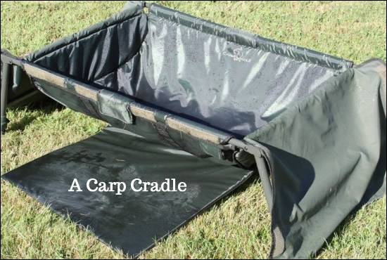 Carp Cradle