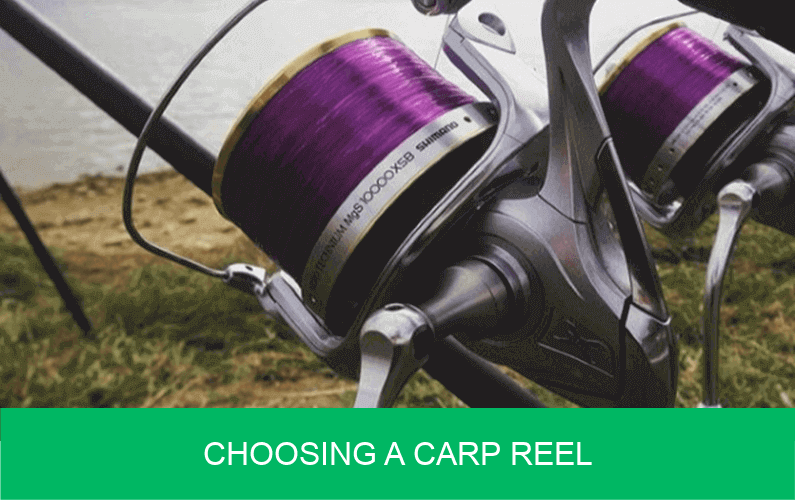 choosing a carp reel