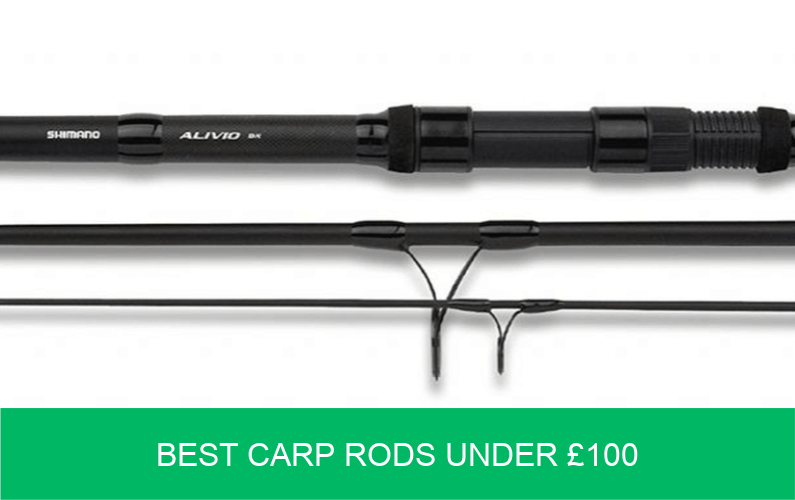 best carp rods under £100