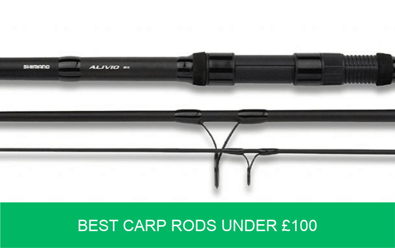 Rods and Poles Archives - Carp n Bait