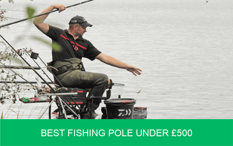best fishing pole under £500