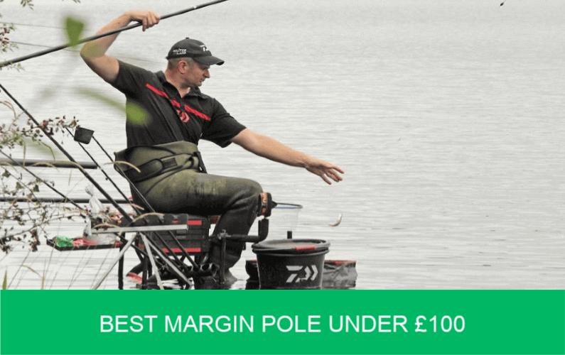 best margin pole under £100