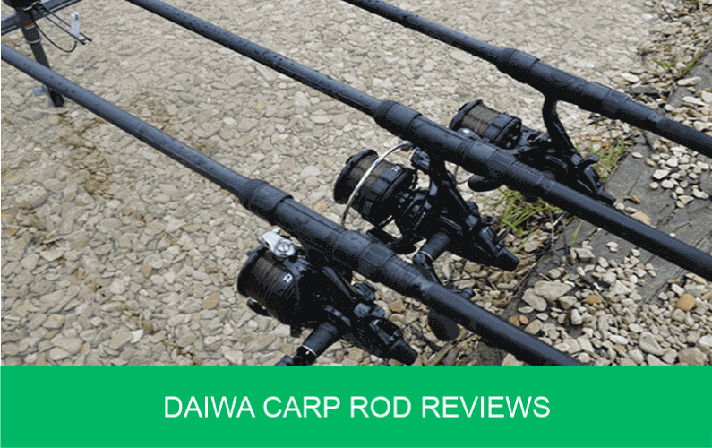 daiwa carp rods
