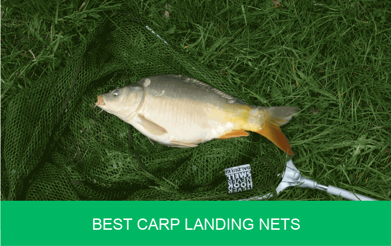 Best Carp Landing Nets 2019 (42 inch, Cheap, Float Systems)