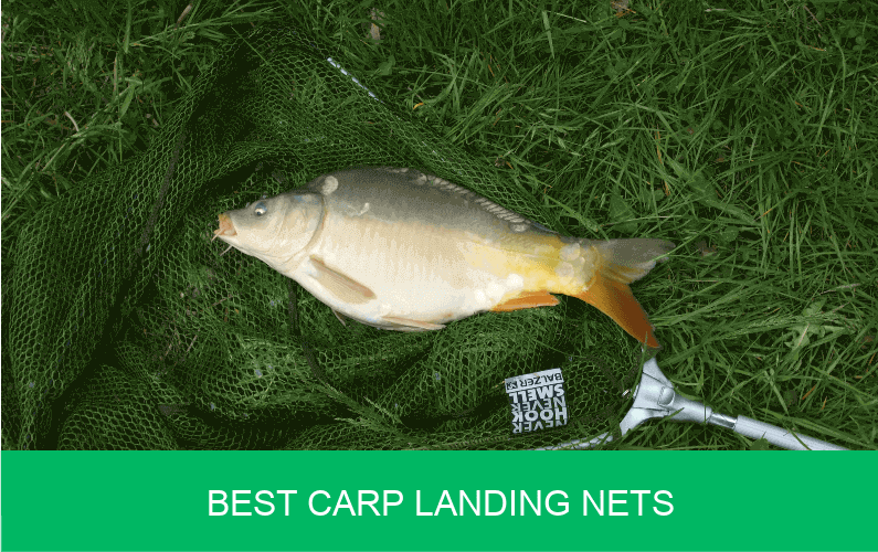 Best Carp Landing Nets 2022 Buyers Guide