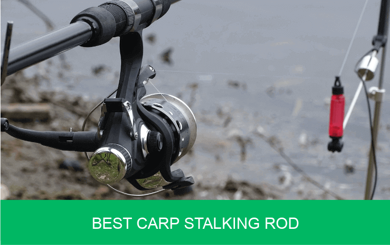 carp stalking rod