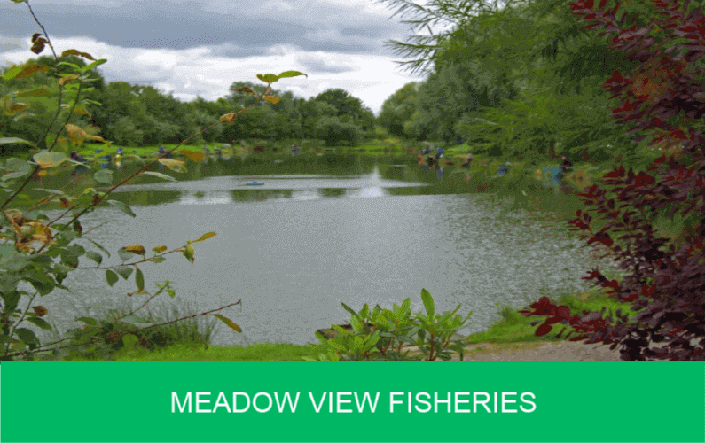 Meadow View Fisheries