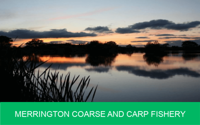 merrington coarse and carp fishery