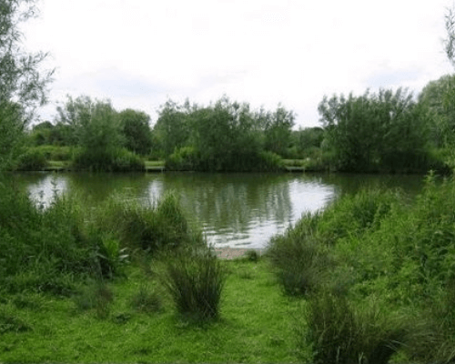 Barford Fishing Lakes