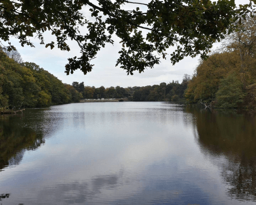 Bay Malton Angling Club