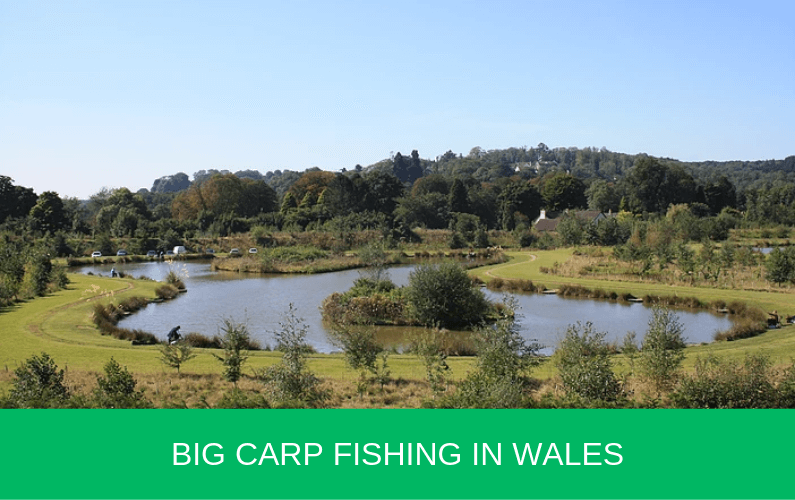 Big Carp Fishing in Wales