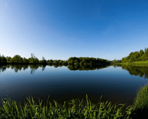 Billingford Lakes