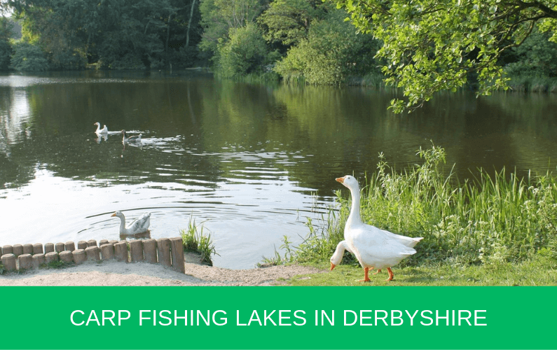 Carp Fishing Lakes in Derbyshire  
