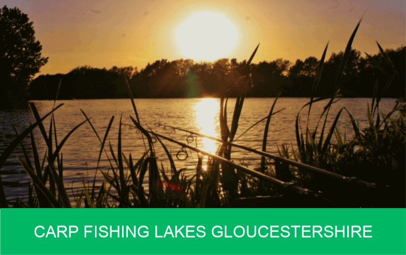 Carp Fishing Lakes Gloucestershire