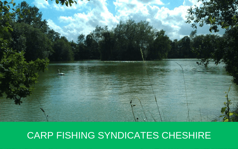 Carp Fishing Syndicates Cheshire Carp n Bait