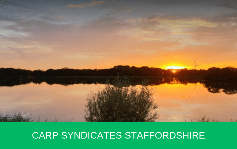 Carp Syndicates Staffordshire