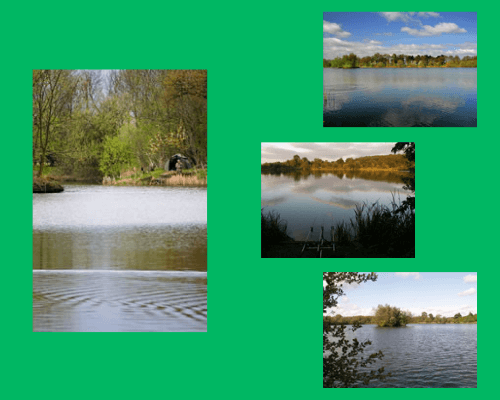 Catton Park Fishery