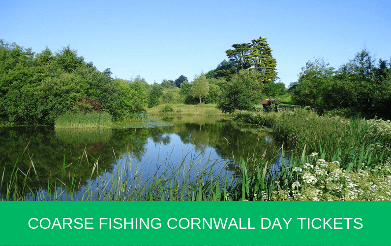 Coarse Fishing Cornwall Day Tickets