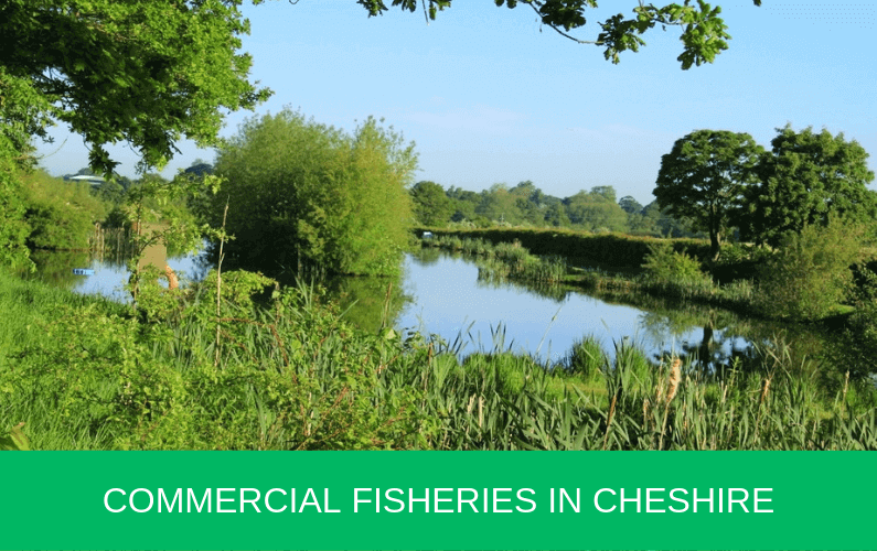 Commercial Fisheries in Cheshire