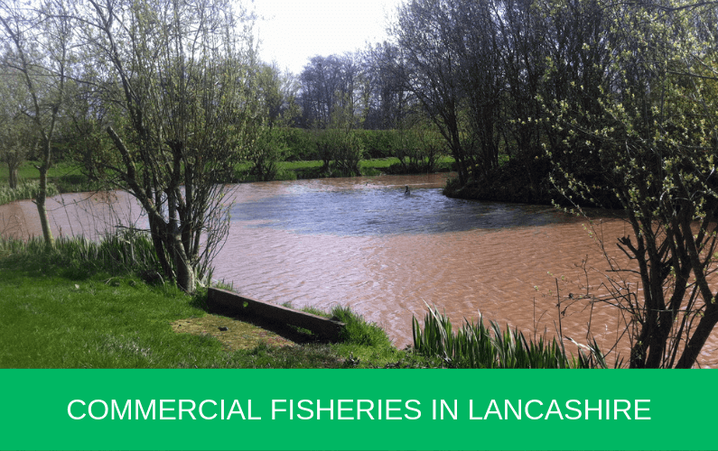 Commercial Fisheries in Lancashire