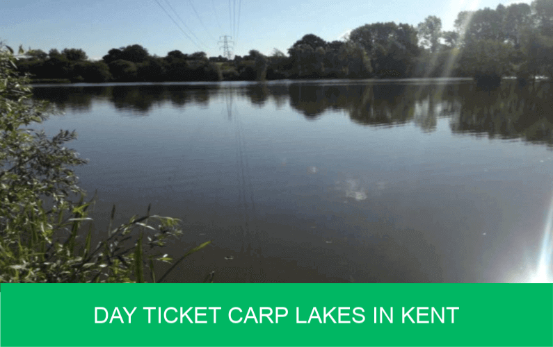 Day Ticket Carp Lakes in Kent