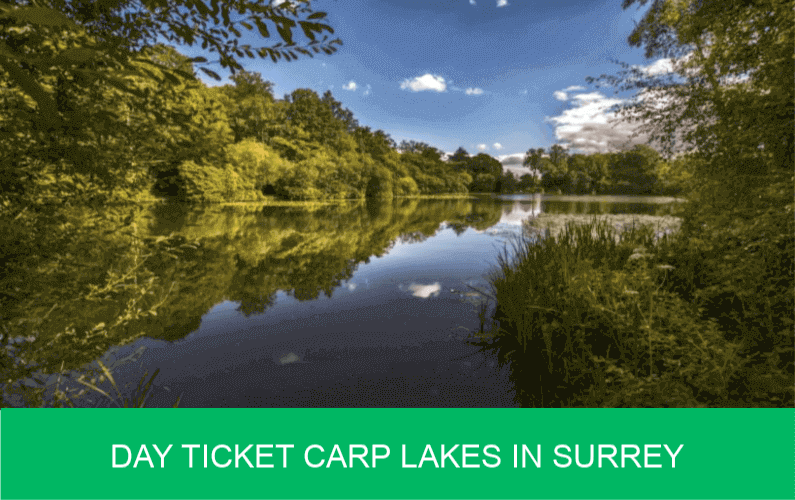 Day Ticket Carp Lakes in Surrey