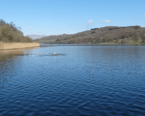 Esthwaite Water Trout Fishery