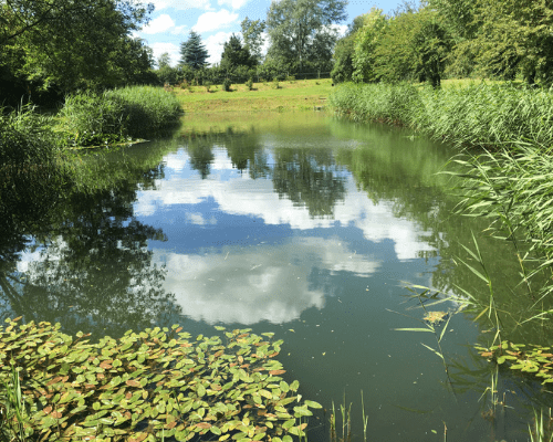 Lakeside Fishery