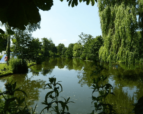 Langdale Lakes – Lincoln Carp Fishing