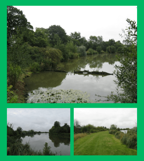 Mallory Park Fisheries