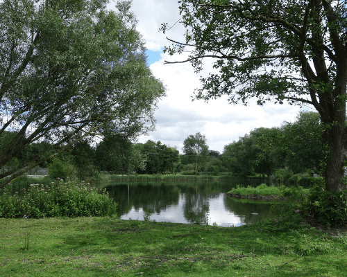 Narborough Fisheries