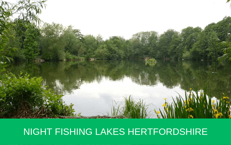 Night Fishing Lakes Hertfordshire