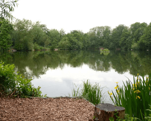 Tolpits Lake