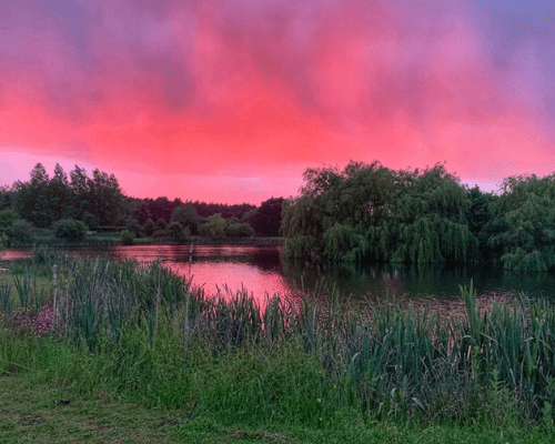 Westmoor Farm Carp Fishery